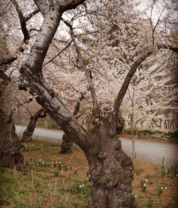 screenshot_2016-06-17-10-48-19-1