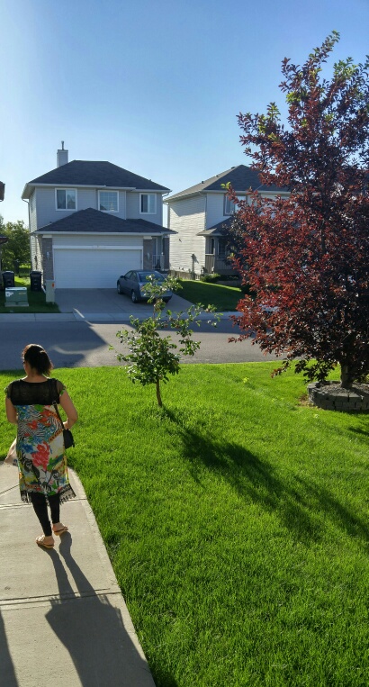 20160721_080715_hdr-1_resized