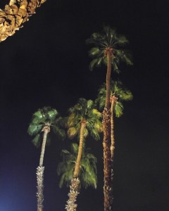 img_20170104_201133_965