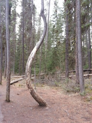 20140519_172611_resized