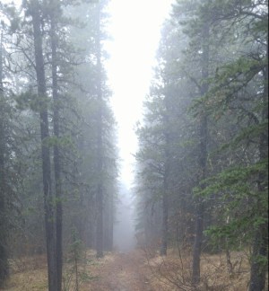 20160424_123203-1_resized